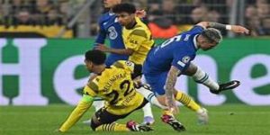 沙巴体育特邀专家观点与全名单分析 -沙巴体育